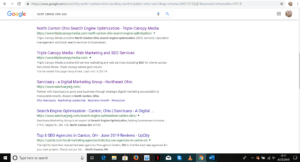 Screenshot of search results without capitalization